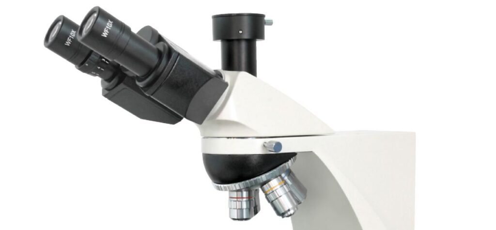 ácido absorción Alarmante ▷ Partes del microscopio óptico: lente ocular